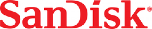 Логотип бренда SANDISK