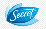 Логотип бренда SECRET