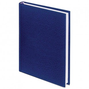 Ежедневник BRAUBERG "Profile", А5, 160 листов, фактурная кожа, синий