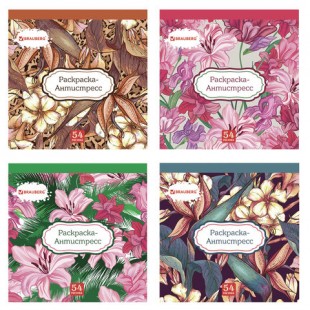 Раскраска-антистресс (52 рисунка + 52 страницы для рисования), 52 листа, 210х210 мм, 140 г/м2, BRAUBERG, 104151