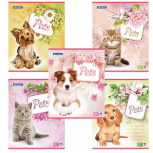 Тетрадь BRAUBERG ЭКО "Pets", 48 листов, клетка, скрепка