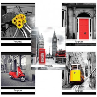 Тетрадь BRAUBERG "Акцент", 48 листов, клетка, скрепка