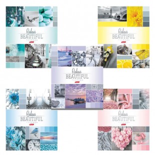 Тетрадь HATBER "Beautiful colour", 96 листов, клетка, скрепка