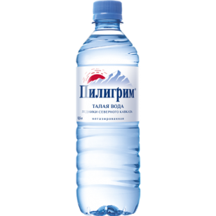 Вода питьевая ПИЛИГРИМ, 500 мл, бутылка