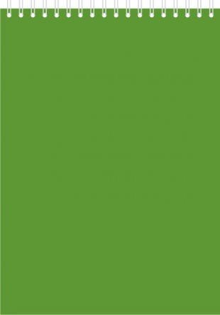 Блокнот ОФИС-ЛИДЕР, А5, 40 листов, клетка, спираль, зеленый