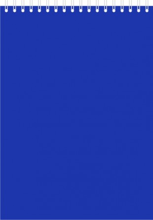Блокнот ОФИС-ЛИДЕР, А5, 40 листов, клетка, спираль, синий