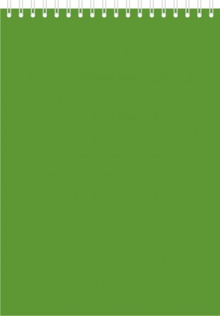 Блокнот ОФИС-ЛИДЕР, А6, 40 листов, клетка, спираль, зеленый