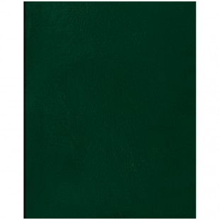 Тетрадь OFFICE SPACE, А5, 96 листов, клетка, скрепка, бумвинил, зеленый