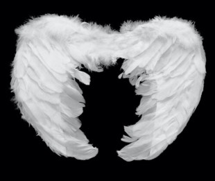Крылья ангела ИГРУШКА "Ангел", 53х41 см., картон, перо, пух, белый