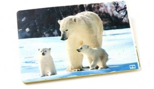 Пазл СИМА-ТОЙС "Белые медведи", 20,5х13,5 см, пластик