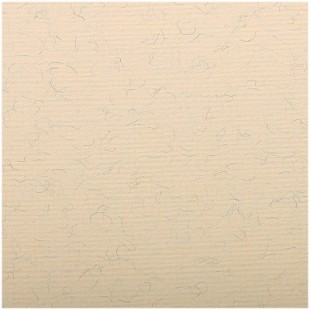 Бумага для пастели CLAIREFONTANE "Ingres", 650х500 мм, 25л, 130г/м2, верже, хлопок, мраморный крем